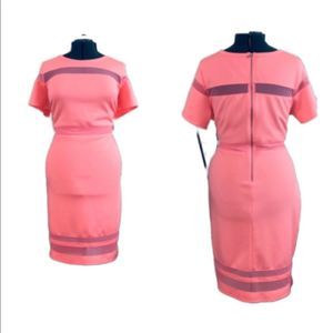 CORAL SHEATH SHEER  PANEL CAP SLEEVE DRESS